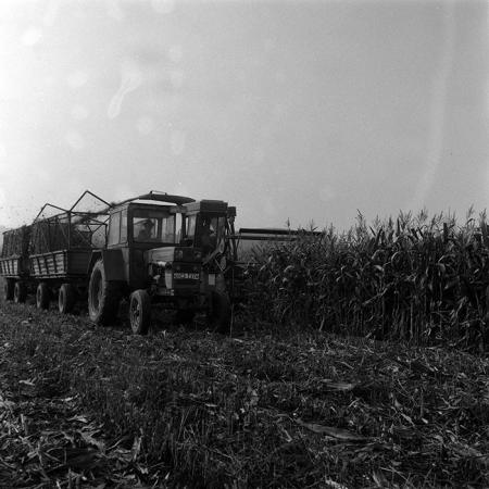 minerva_Agrar_c1_c1r3_026