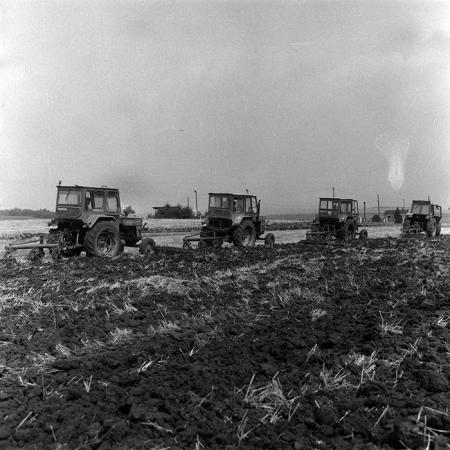 minerva_Agrar_c1_c1r4_035