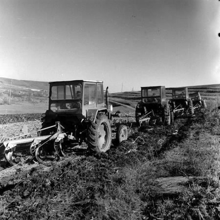 minerva_Agrar_c1_c1r4_038