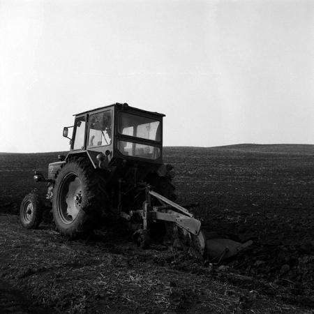 minerva_Agrar_c1_c1r4_040