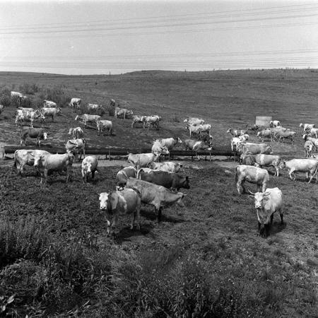 minerva_Agrar_c1_c2r1_004