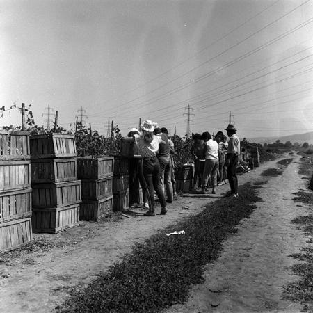 minerva_Agrar_c1_c2r2_005