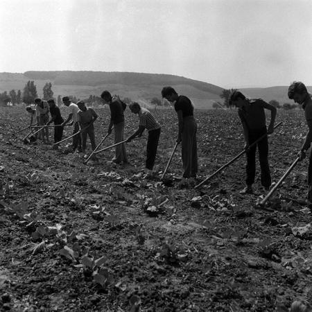 minerva_Agrar_c1_c2r2_010