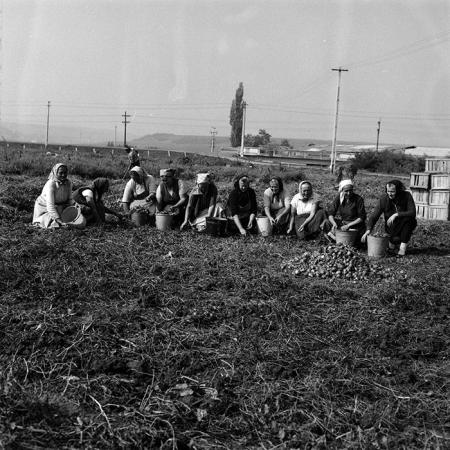 minerva_Agrar_c1_c2r2_014