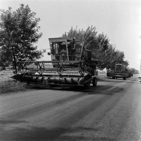 minerva_Agrar_c1_c2r3_003