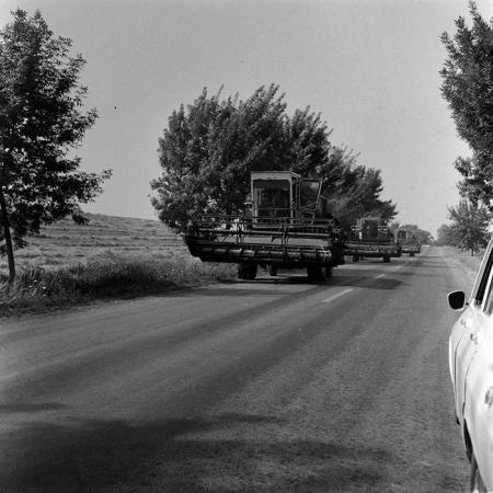 minerva_Agrar_c1_c2r3_004