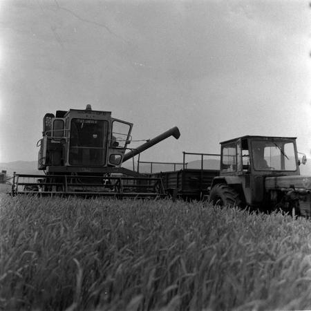 minerva_Agrar_c1_c2r3_008