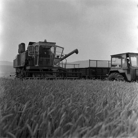 minerva_Agrar_c1_c2r3_009