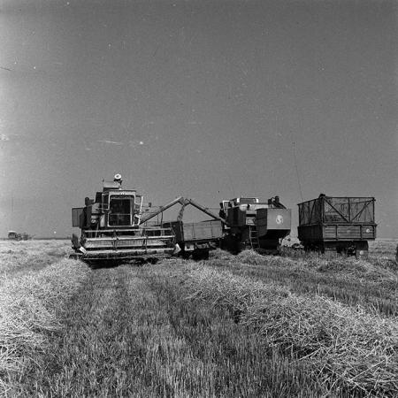 minerva_Agrar_c1_c2r3_013