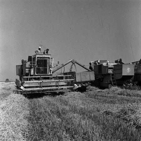 minerva_Agrar_c1_c2r3_014