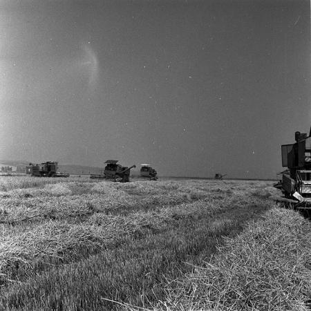 minerva_Agrar_c1_c2r3_015