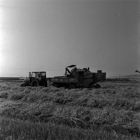 minerva_Agrar_c1_c2r3_019