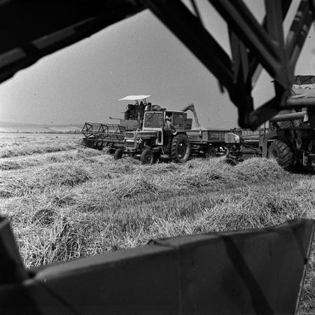 minerva_Agrar_c1_c2r3_021