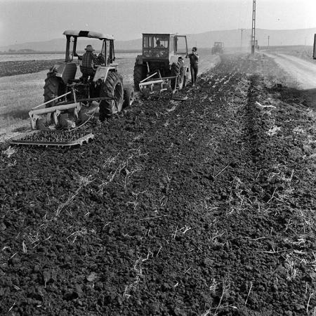 minerva_Agrar_c1_c2r3_028