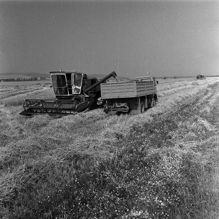 minerva_Agrar_c1_c2r3_030