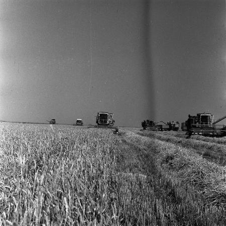 minerva_Agrar_c1_c2r3_034