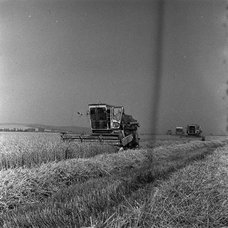 minerva_Agrar_c1_c2r3_035