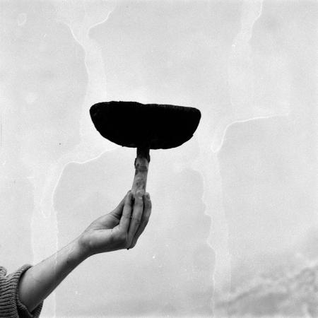 minerva_Agrar_c1_c2r4_001