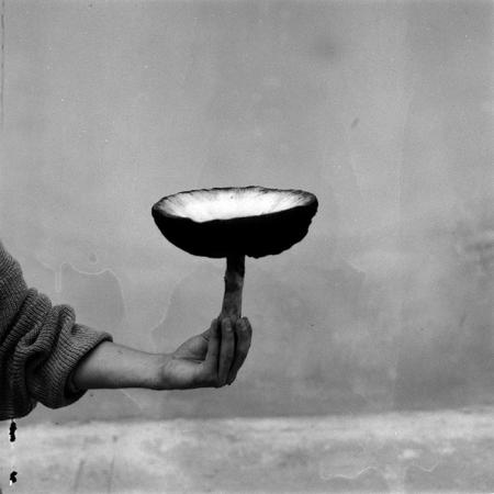 minerva_Agrar_c1_c2r4_002