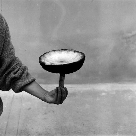 minerva_Agrar_c1_c2r4_003