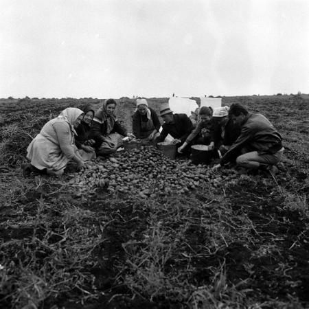 minerva_Agrar_c1_c2r4_004