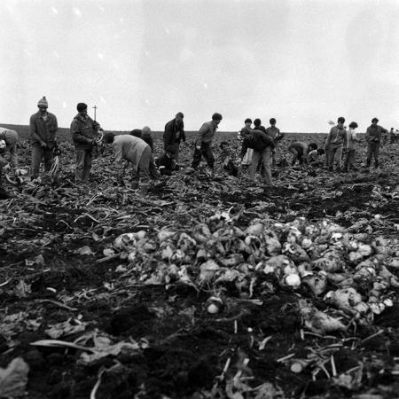 minerva_Agrar_c1_c2r4_009