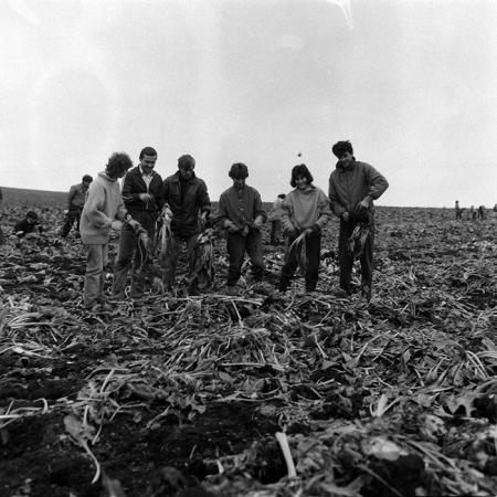 minerva_Agrar_c1_c2r4_010