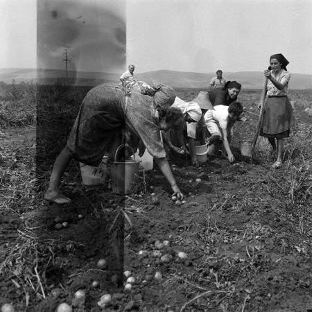 minerva_Agrar_c1_c2r4_013