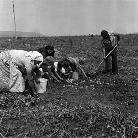 minerva_Agrar_c1_c2r4_016