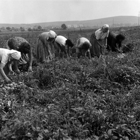 minerva_Agrar_c1_c2r4_018