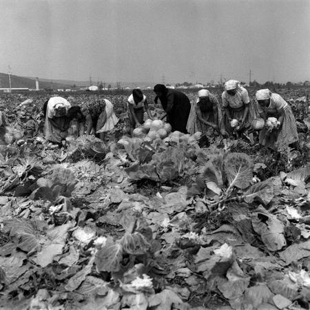 minerva_Agrar_c1_c2r4_019