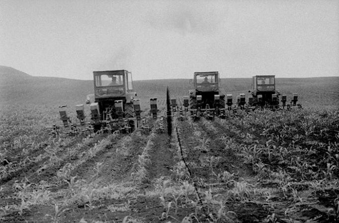 minerva_Agrar_c1_c2r5_037