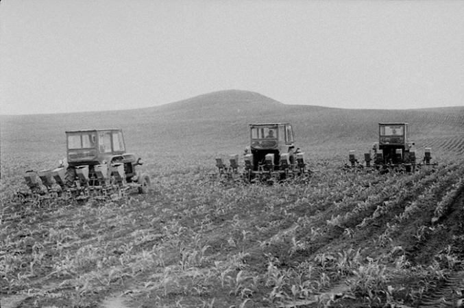 minerva_Agrar_c1_c2r5_038