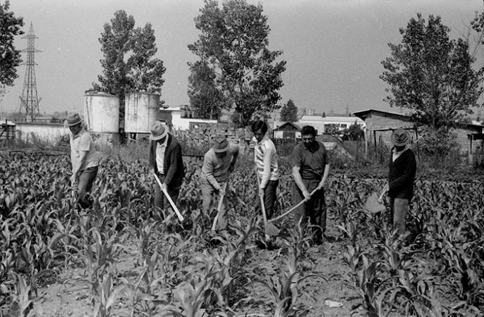 minerva_Agrar_c1_c2r5_050