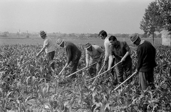 minerva_Agrar_c1_c2r5_051