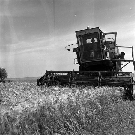 minerva_Agrar_c1_c3r1_010