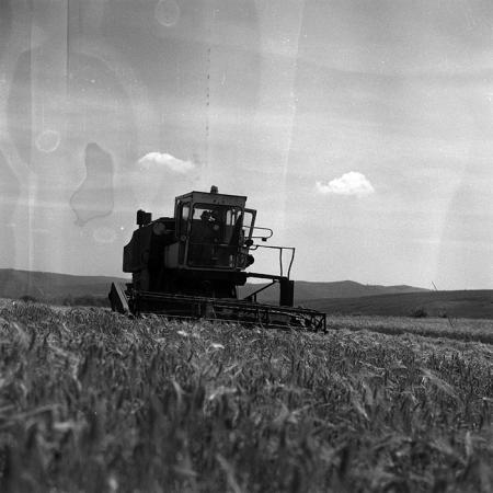 minerva_Agrar_c1_c3r1_011