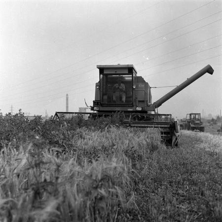 minerva_Agrar_c1_c3r1_017