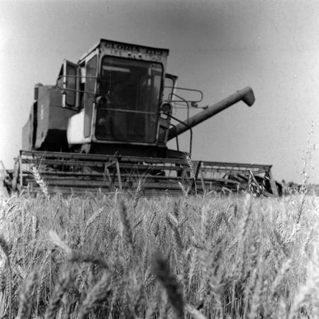 minerva_Agrar_c1_c3r1_024