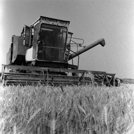 minerva_Agrar_c1_c3r1_025