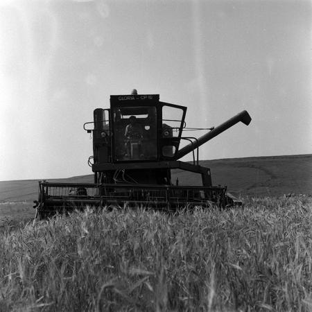 minerva_Agrar_c1_c3r1_041