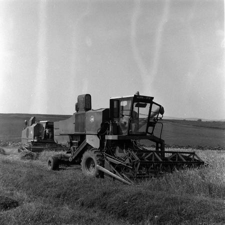 minerva_Agrar_c1_c3r1_043