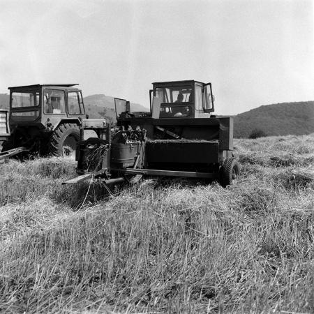 minerva_Agrar_c1_c3r1_055