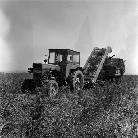 minerva_Agrar_c1_c3r4_003