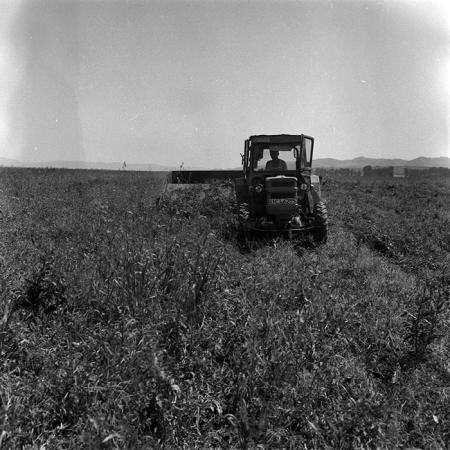 minerva_Agrar_c1_c3r4_004