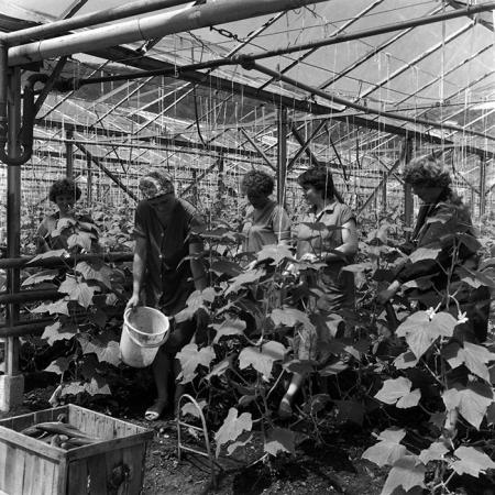 minerva_Agrar_c1_c3r4_006