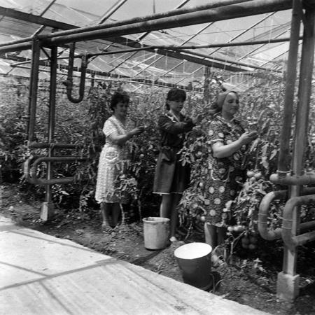 minerva_Agrar_c1_c3r4_008