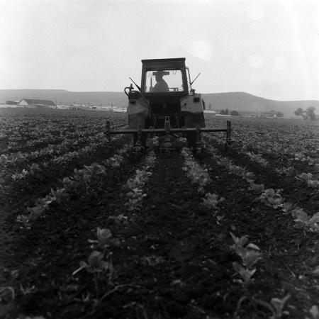 minerva_Agrar_c1_c3r5_011