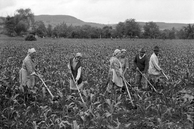 minerva_Agrar_c1_c3r5_013