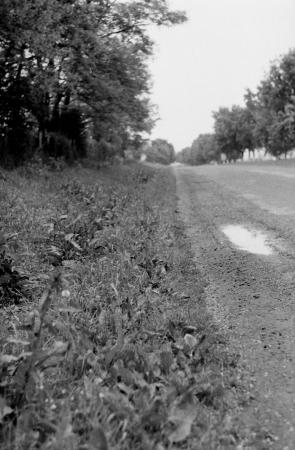 minerva_Agrar_c1_c3r5_034